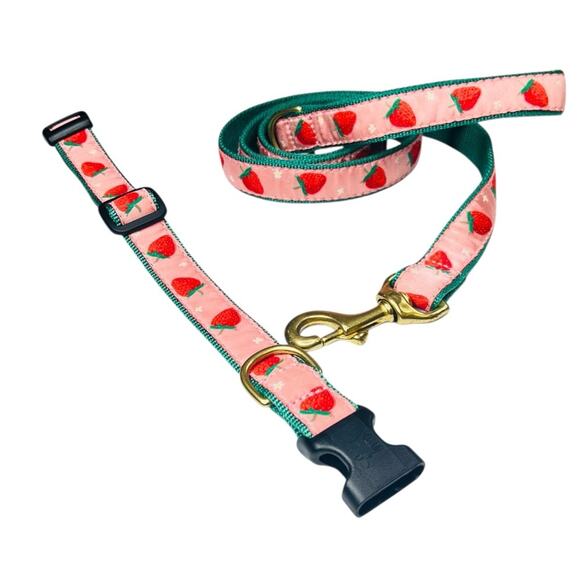 Up Country Strawberry Fields Dog Medium Collar Matching Lead Leash 2PC Set USA - Picture 3 of 14
